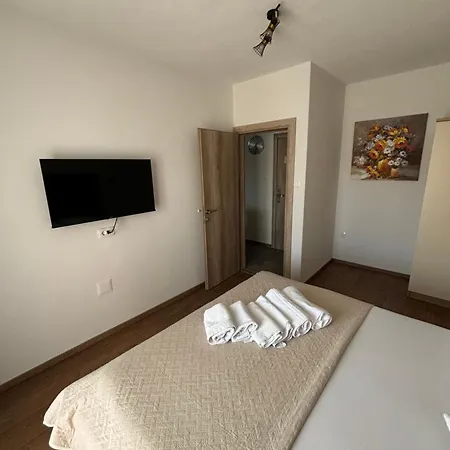 Apartment Petrovic *