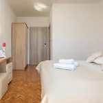 Apartment Petrovic *